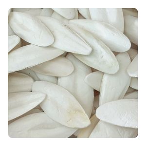 Os de Seiche de Qualité Supérieure, Propre et Naturel, Riche en Calcium, Prix de Gros Abordable, Approvisionnement en Vrac Direct Usine - Product Image 3