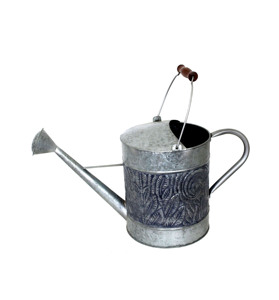 Arrosoir à long bec fin, accessoires de jardinage décoratifs, arrosoir en fer pour plantes - Product Image 5