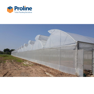 Película para Invernadero Agrícola Multi-Span, Doble Capa, Gran Tamaño, PE Resistente a los Rayos UV, Larga Vida Útil, Precio de Fábrica, Proline - Product Image 2