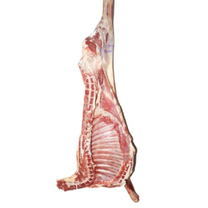 Viande d'agneau entière congelée HALAL, qualité supérieure, grade A, processus de congélation IQF en vrac, 25 kg, brésilienne, nutritive, 24 mois - Product Image 3