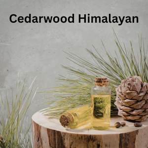 Huile de cèdre de l'Himalaya en vrac, qualité parfumerie et fragrance fine, exportation mondiale - Product Image 2