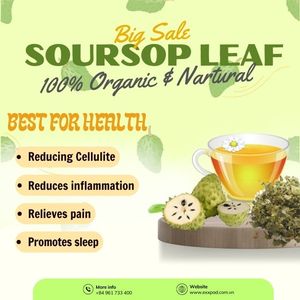 ใบทุเรียนเทศเกรดสุขภาพ | ใบกริโอลาธรรมชาติบริสุทธิ์สำหรับอาหารเสริมเพื่อสุขภาพ - Product Image 1