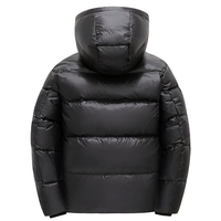 Veste d'hiver décontractée pour homme, noire, à capuche, rembourrée de duvet, coupe-vent, longueur normale, fermeture éclair, couleur unie