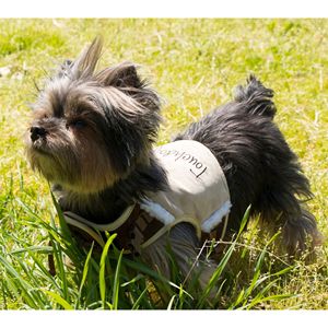 Boutique Adjustable Fashion <b>Dog</b> <b>Harness</b> and Leash Tough Pet <b>Harnesses</b> - Product Image 5
