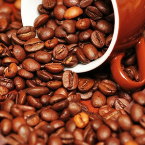 Granos de Café Robusta Tostado Oscuro, Fuertes y Intensos, Cuerpo Suave, Grado Premium 1, Origen Vietnam, para Mercados Gourmet - Product Image 6