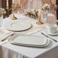 Service de vaisselle en porcelaine de style européen ST White Celadon, OEM/ODM, pour restaurants, hôtels, traiteurs, buffets, usage commercial.