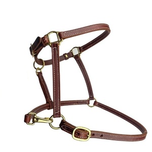 Échantillon Gratuit Nouvelle Arrivée Licol de Selle en Cuir Personnalisé pour Cheval Équestre, Collier de Tête de Cheval de Sécurité Personnalisé Style Western - Product Image 5