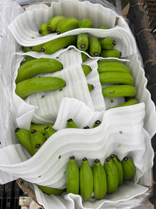 Plátanos Cavendish frescos de Vietnam Sabor dulce y natural para exportación - Product Image 5