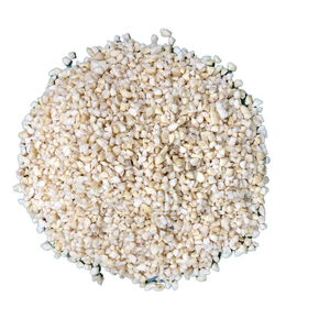 Anacardos BB crudos recién procesados de alta calidad ingredientes nutritivos para varios platos cartones de 20kg de Vietnam - Product Image 3