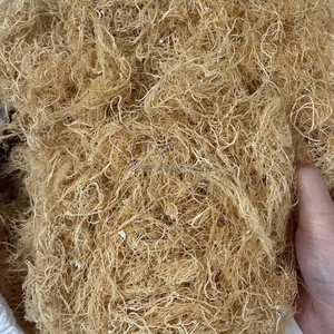 สาหร่ายกราซิลารีอาธรรมชาติ KMI – เหมาะสำหรับการผลิตวุ้นและอาหาร - Product Image 4
