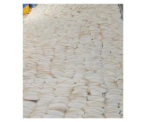 Hueso de Sepia Seco Directo de Fábrica de Vietnam - Hueso Blanco Limpio para Tiendas de Mascotas y Suministro al por Mayor - Product Image 2