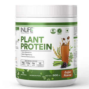 Plant-Based Vegan Protein Powder Drink Mix Chocolate Flavored 24g Protein Per Serving GMP Certified for Adults - Product Image 5
