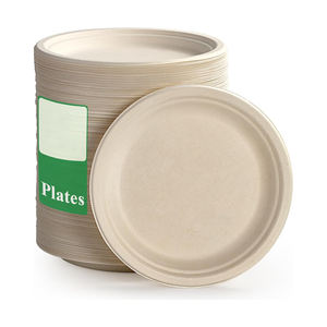 Platos Desechables de Alta Calidad, OEM ODM, Venta al por Mayor, Hechos en Pakistán, Ligeros, con Logotipo Personalizado - Product Image 1