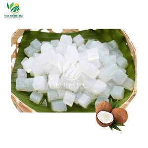 เยลลี่มะพร้าวพรีเมียมจากเวียดนาม – คุณภาพสำหรับการส่งออก - Product Image 1