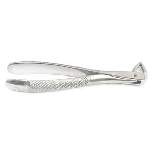 High Quality CE Certified Manual Stainless Steel Dental Extracting Forceps English Pattern Surgical <b>Instruments</b> By Grip Surgical - Product Image 5