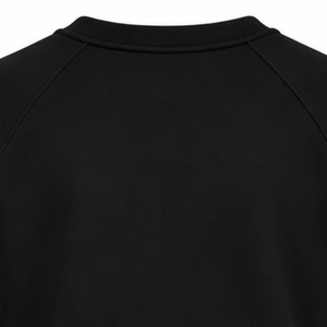 <b>Black</b> Women Crew Neck <b>Sweatshirt</b> with Gold Greek Letter 1922 Graphic and Blue White Gold Sleeve Stripes Long Sleeve Pullover - Product Image 3