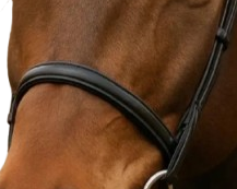 Brida de Cuero Premium para Caballo con Accesorios de Acero Inoxidable |   Equipo Ecuestre de Carreras Personalizado, Logotipo Personalizado, Color Personalizado, Alta Calidad - Product Image 2