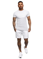 Fabricante de Ropa, Camiseta Personalizada de Estilo Urbano Informal, con Estampado Gráfico, de Poliéster/Algodón, Lavado Ácido, de Secado Rápido, para Primavera