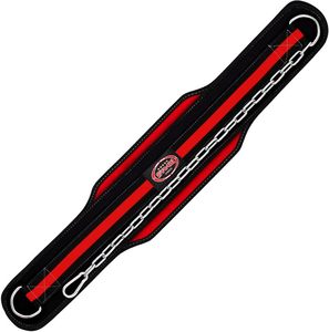 Ceinture de musculation en néoprène noire Farabi Sports, prête à être expédiée, équipement de fitness unisexe avec chaîne en acier réglable. - Product Image 2