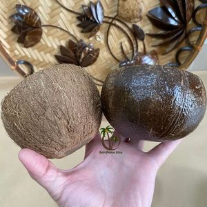 Portavelas de cáscara de coco DIY PREMIUM AL MEJOR PRECIO AL POR MAYOR/ PORTA VELAS DE CÁSCARA DE COCO SEGUROS Y RESISTENTES AL AGUA EN VIETNAM - Product Image 4