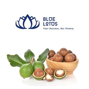 BEST SELLER Noix de macadamia croustillantes écologiques, nourriture durable de qualité supérieure pour une nutrition quotidienne - Product Image 1