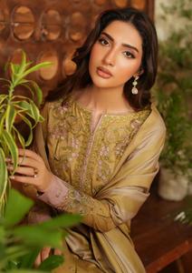 Ensemble de vêtements décontractés ethniques tendance en coton pour l'été, collection indienne et pakistanaise, 3 pièces, robes décontractées - Product Image 6