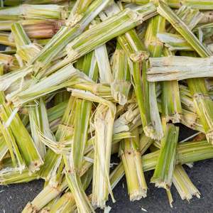 Proveedor y Exportador de Materia Prima de Combustible de Biomasa de Bagazo de Caña de Azúcar Natural, Kim Minh International Vietnam - Product Image 4