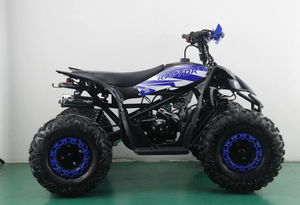 Quad 110cc Chithan durable à monter soi-même avec moteur puissant, garantie 3 ans, poignée en plastique, OEM/ODM pour enfants - Product Image 3