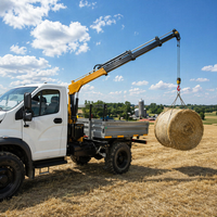 Chinesischer Hersteller Liefert Hydraulischen Kran SQ08ZA3+1 Elektrische Winde Stahl-LKW-Montierter Hebekran Anhänger-Montierter Kran für Landwirtschaft