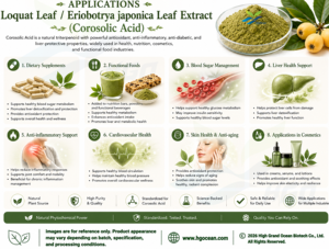 Suministro Directo de Fábrica HGO, Extracto Puro y Natural de Hoja de Nácaro/Hoja de Eriobotrya Japonica (Grado Alimenticio), Ácido Corosólico 1% 5% en Polvo - Product Image 4
