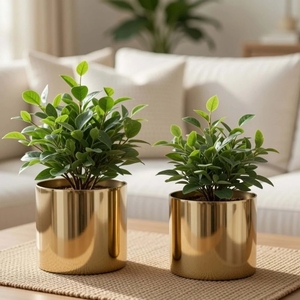 Juego de Macetas Modernas de Lujo en Metal Dorado Brillante – Recipientes Cilíndricos Pulidos para Plantas de Interior, Suculentas y Adornos de Mesa - Product Image 4