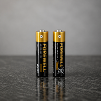 Fabricant OEM de piles alcalines LR6 AA 1,5 V 2700 mAh, puissance fiable, longue durée de vie, vente en gros, logo personnalisé, jouets, lampes de poche