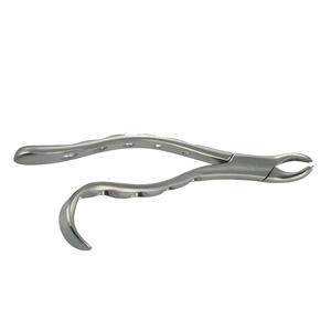 Nuevo diseño Mango Fácil Agarre Dental Fórceps de extracción de dientes orales Calidad extrema Los mejores juegos de fórceps dentales Acero inoxidable - Product Image 4