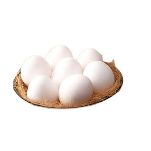 Œufs de poule blancs biologiques frais, prix compétitif, vente en gros, œufs de poule de table frais de la ferme - Product Image 6