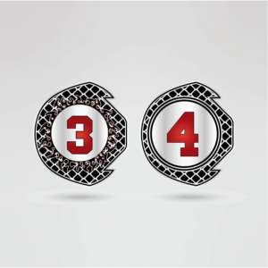 Ceinture de championnat de lutte Red Huzaim Elite Sports avec plaque centrale dorée et quatre plaques latérales (Laiton Zinc) – Équipement personnalisable - Product Image 4