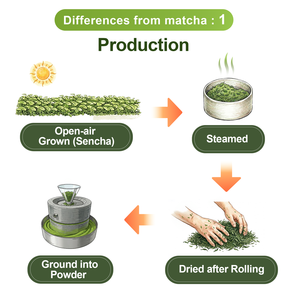 Thé vert en poudre BLESS Yame Sencha japonais de qualité supérieure pour des boissons saines et des lattes, sac en vrac de 1 kg, nouveauté de juin 2026 - Product Image 3