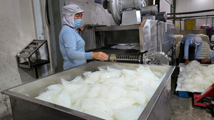 Nata de Coco de haute qualité du Vietnam – Cubes de gelée de noix de coco sucrée – Ingrédient de qualité alimentaire pour l'industrie des boissons et des desserts - Product Image 5
