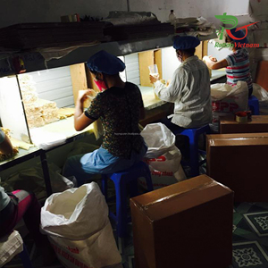 ตะเกียบไม้ไผ่เป็นมิตรกับสิ่งแวดล้อมจากเวียดนามสำหรับงานปาร์ตี้ผลิตจากตลาดเกาหลีติดต่อ WA + 84916930070 - Product Image 4