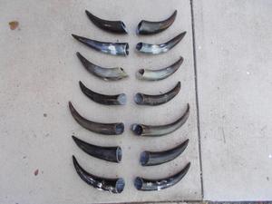 Par de Cuernos de Longhorn Pulidos para Decoración de Pared, Diseño Art Deco Ecológico, Grandes de 10 y 18 Pulgadas, para Bodas, Cumpleaños, Aniversarios, Año Nuevo - Product Image 2