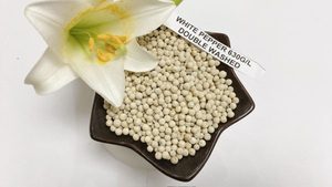 พริกไทยขาวเวียดนามขายส่งสำหรับส่งออก คุณภาพดี ราคาดีที่สุด - Product Image 3