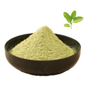 100% Authentic Indigo Leaf Powder Naturally Dried Indigo leaf Powder Bulk Supplier for strong hair and better scalp condition - Product Image 3