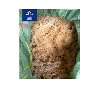 Algues Marines Séchées Écologiques de Haute Qualité, Sûres et Propres, Idéales pour la Cuisine et les Soins de la Peau, Vente Directe - Product Image 1