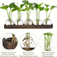 Station de propagation de plantes en verre pour bureau avec support en bois, ensemble de vases hydroponiques pour boutures de plantes d'intérieur, décoration intérieure