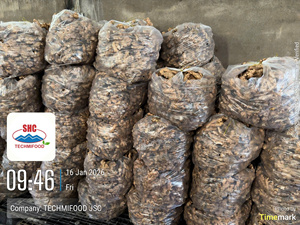 Jengibre Fresco Premium de Vietnam, Limpio y Lavado, Especia Picante, Calidad de Exportación, Proveedor - Product Image 6