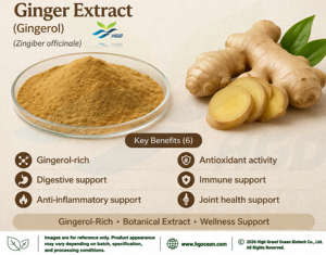 HGO Factory Fourniture directe d'extrait de gingembre naturel pur (qualité alimentaire) Spécification Gingerol 1% (extrait standardisé) - Product Image 4
