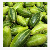 Verse groene puntige komkommer, premium kwaliteit groente uit Bangladesh. Verse puntige komkommer, hoogwaardige groene groente uit Bangladesh.