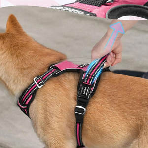 Arnés Resistente con Correa de Pecho Ajustable, Interior Suave y Ajuste Cómodo para Uso en Exteriores, Tallas Grande, Mediana y Pequeña - Product Image 4