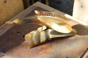 Juego de Figuras de Aves de Cuerno de Búfalo Natural de Primera Calidad para Decoración del Hogar y Regalo de Inauguración a un Precio Económico - Product Image 3