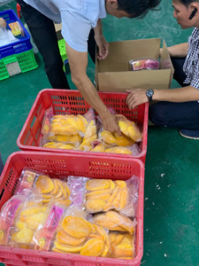 เวียดนามมะม่วงแช่แข็งชิ้นมะม่วง IQF พรีเมี่ยมสำหรับเครื่องดื่มผสมขนมหวานสูตรอาหารทั่วโลก - Product Image 6