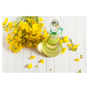 For Refined Rapeseed Oil Edible Vegetable Cooking Oil 1L 5L 20L Bottle Packing Wholesale Supplier - Product Image 2